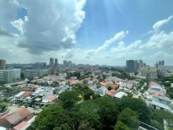 Rafflesia Condominium (D20), Condominium #592669751